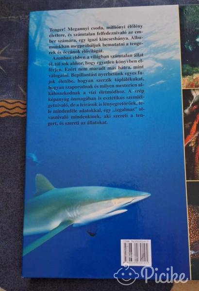 nagyalakú érdekes könyv
