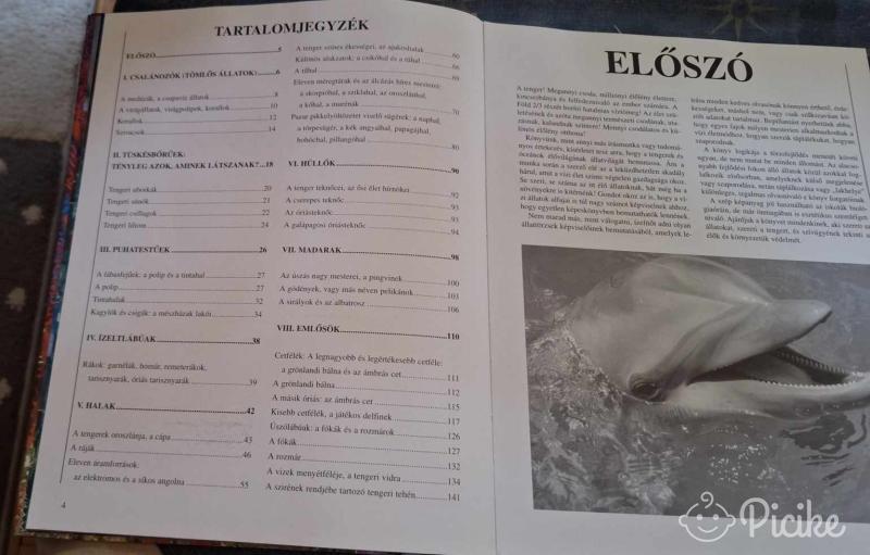 nagyalakú érdekes könyv