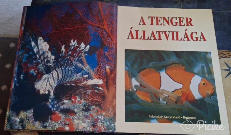 nagyalakú érdekes könyv