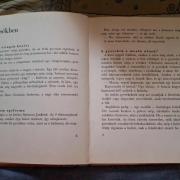 A gólya hozott?külföldi kiadású,de magyar nyelvű