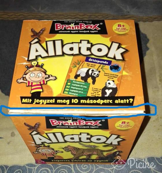 Brain Box-Állatok