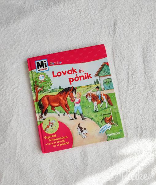 Mi micsoda? - Lovak és pónik