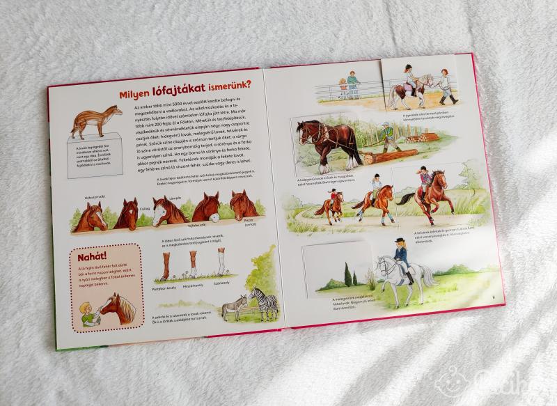 Mi micsoda? - Lovak és pónik