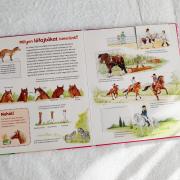 Mi micsoda? - Lovak és pónik