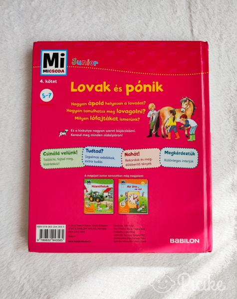 Mi micsoda? - Lovak és pónik