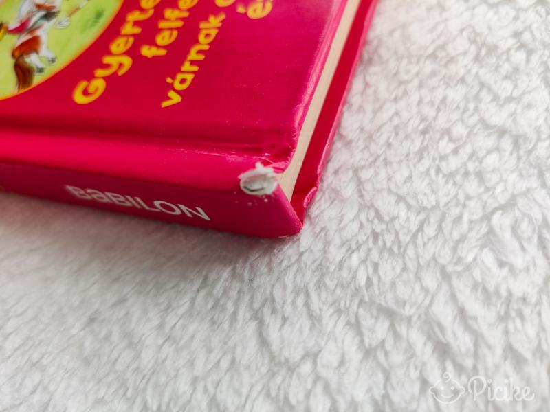 Mi micsoda? - Lovak és pónik