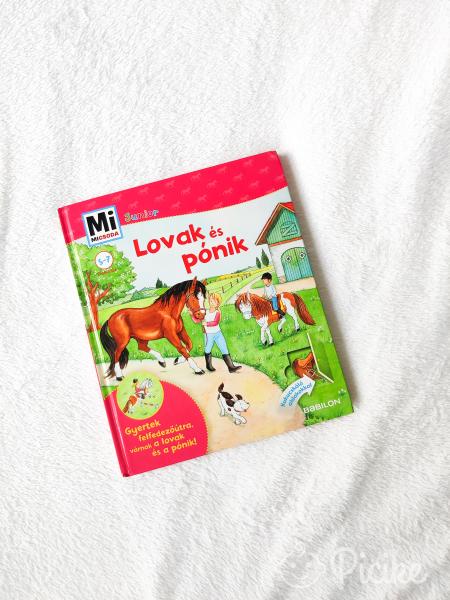 Mi, micsoda? - Lovak és pónik