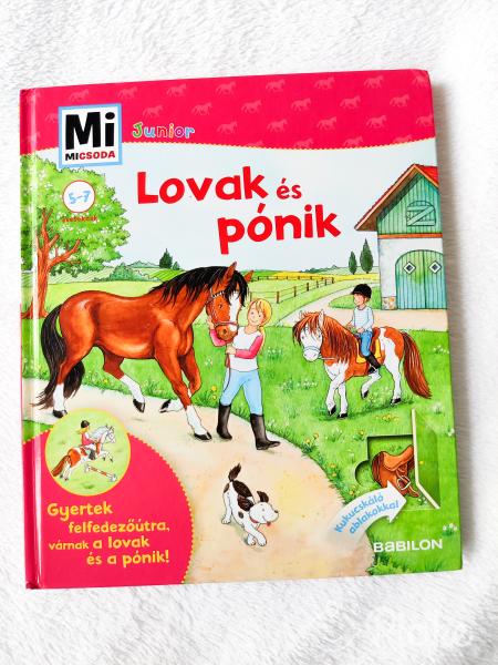 Mi, micsoda? - Lovak és pónik