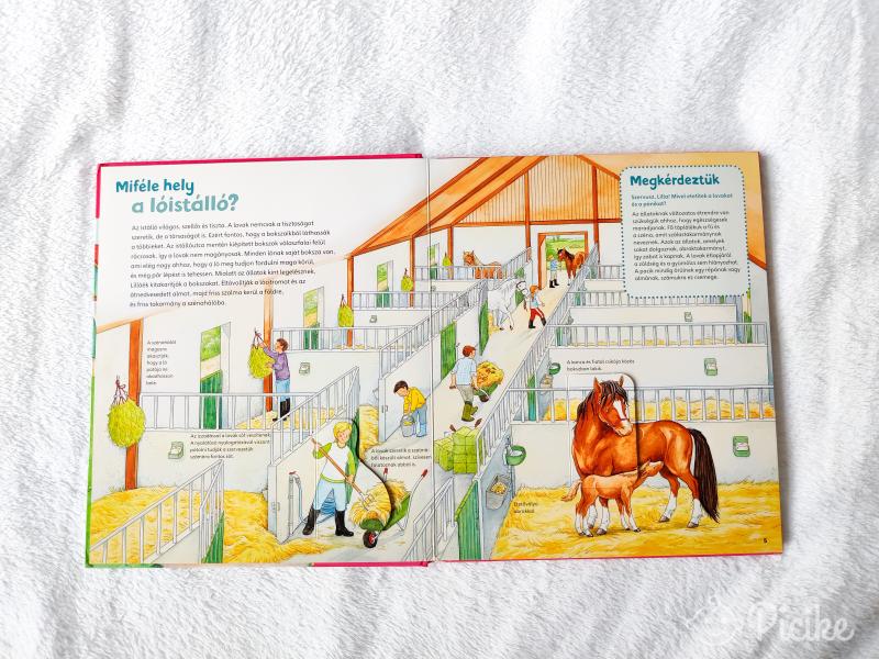 Mi, micsoda? - Lovak és pónik