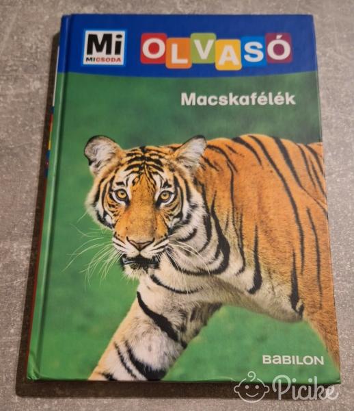 Macskafélék,érdekes könyv
