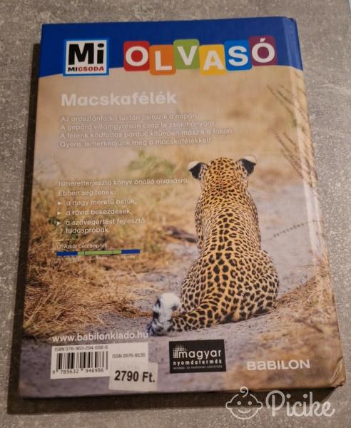 Macskafélék,érdekes könyv