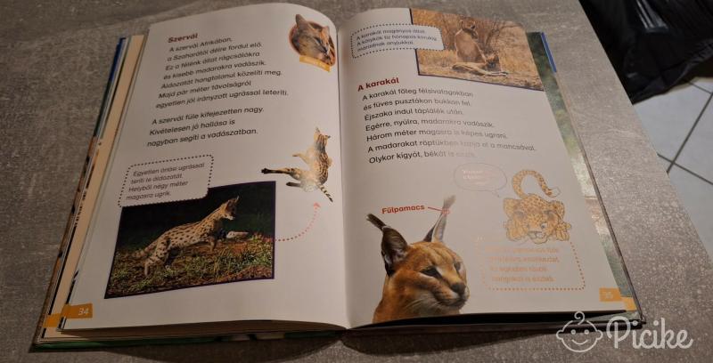 Macskafélék,érdekes könyv