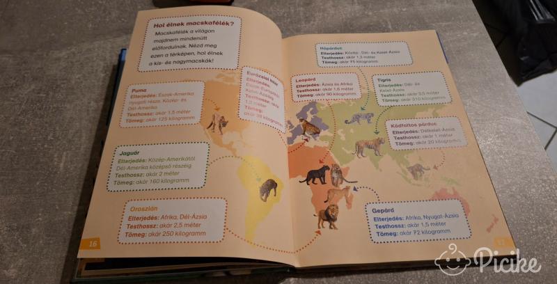 Macskafélék,érdekes könyv