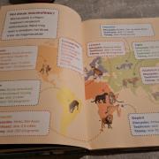 Macskafélék,érdekes könyv