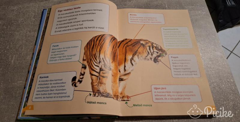 Macskafélék,érdekes könyv