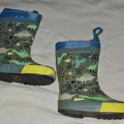 dínós gumicsizma,Cortina