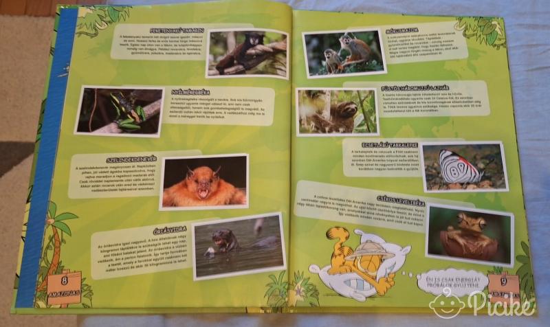 Dzsungelmánia Őserdei kaland,teli gyűjtőkönyv