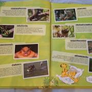 Dzsungelmánia Őserdei kaland,teli gyűjtőkönyv