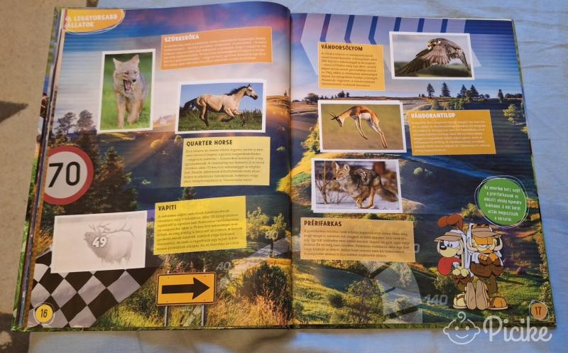 Állati rekordok-csodálatos állatok