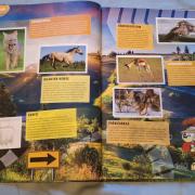 Állati rekordok-csodálatos állatok