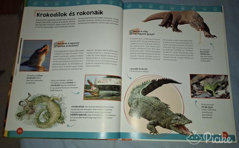 És már ezt is tudom-Veszélyes állatok