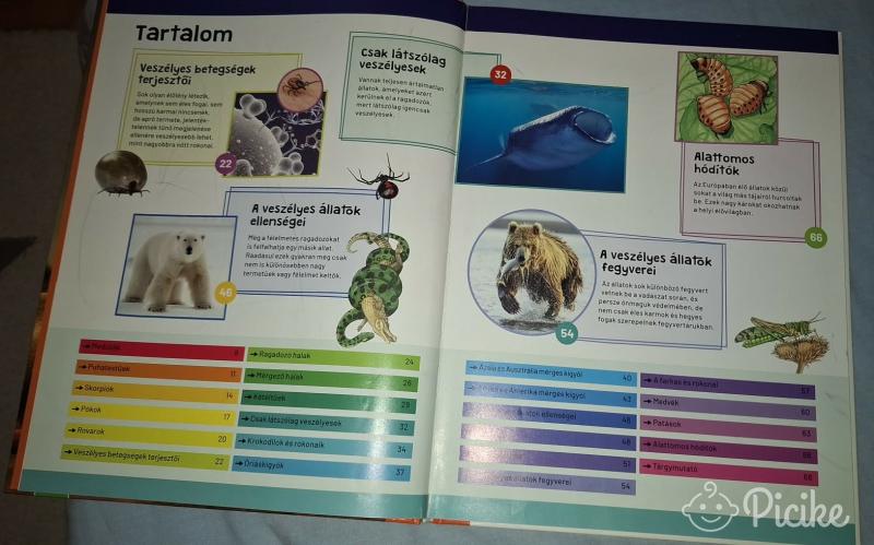 És már ezt is tudom-Veszélyes állatok