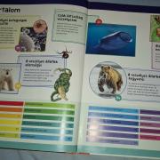 És már ezt is tudom-Veszélyes állatok